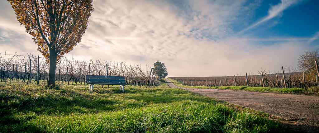 Landschaftsaufnahme anamorphes Objektiv entzerrt