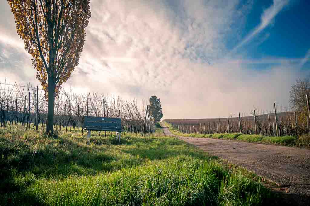 Landschaftsaufnahme anamorphes Objektiv verzerrt